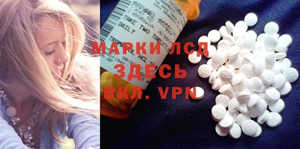 прущие грибы Магас