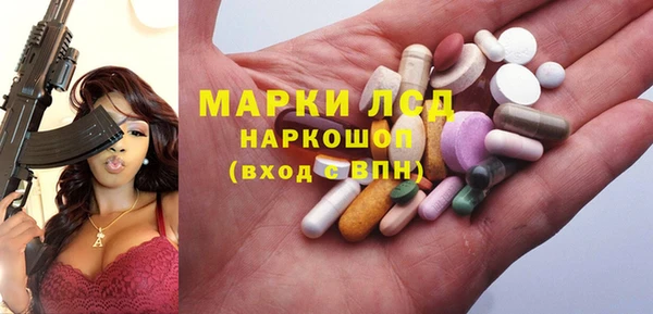 прущие грибы Магас