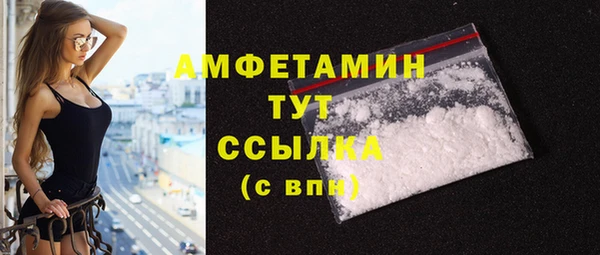прущие грибы Магас