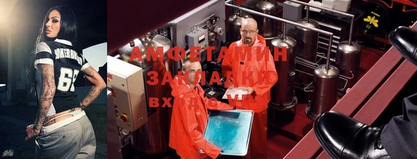 прущие грибы Магас