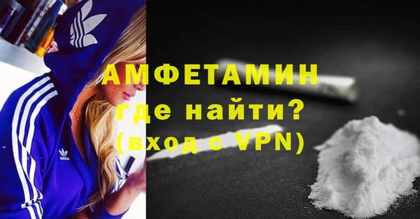 прущие грибы Магас