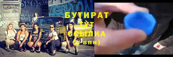 прущие грибы Магас